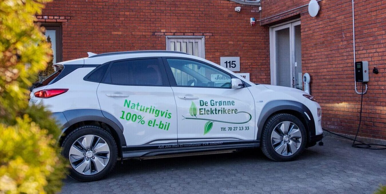 de groenne elektrikere